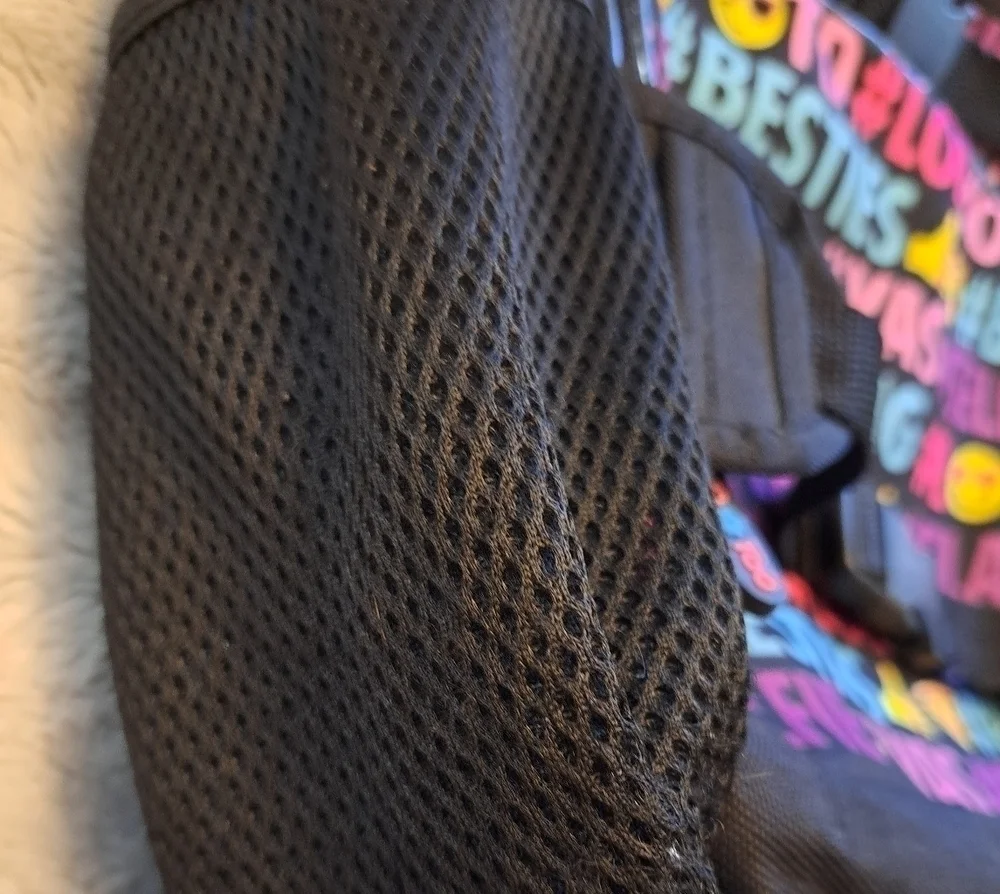 Limited Too fashion back